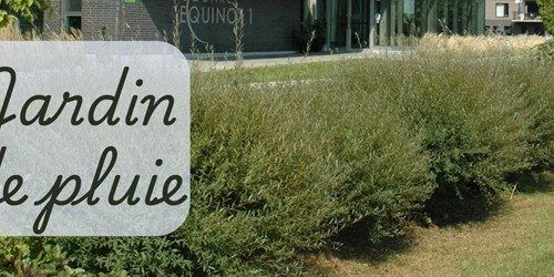 Les jardins de pluie